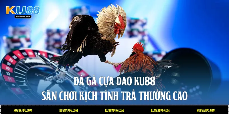 Đá Gà Cựa Dao Ku88: Sân Chơi Kịch Tính Trả Thưởng Cao 1 Đá gà cựa dao
