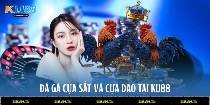 Đá gà cựa sắt và cựa dao tại Ku88
