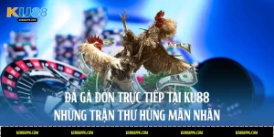 Đá gà đòn trực tiếp