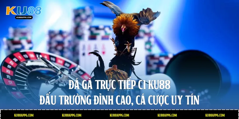 Đá gà trực tiếp C1