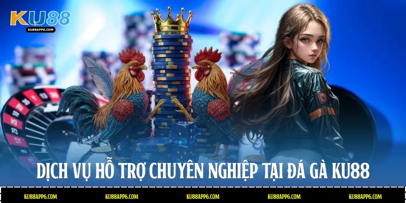 Dịch vụ hỗ trợ chuyên nghiệp tại Đá gà Ku88