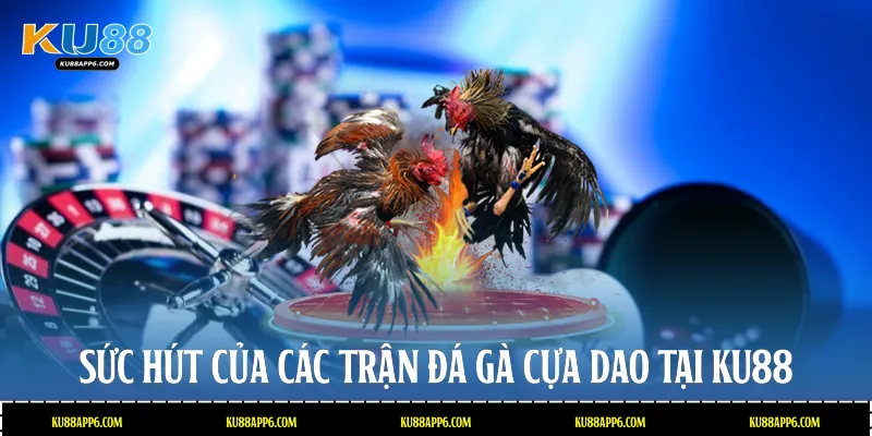 Đá Gà Cựa Dao Ku88: Sân Chơi Kịch Tính Trả Thưởng Cao 2 Sức hút của các trận Đá gà cựa dao tại Ku88